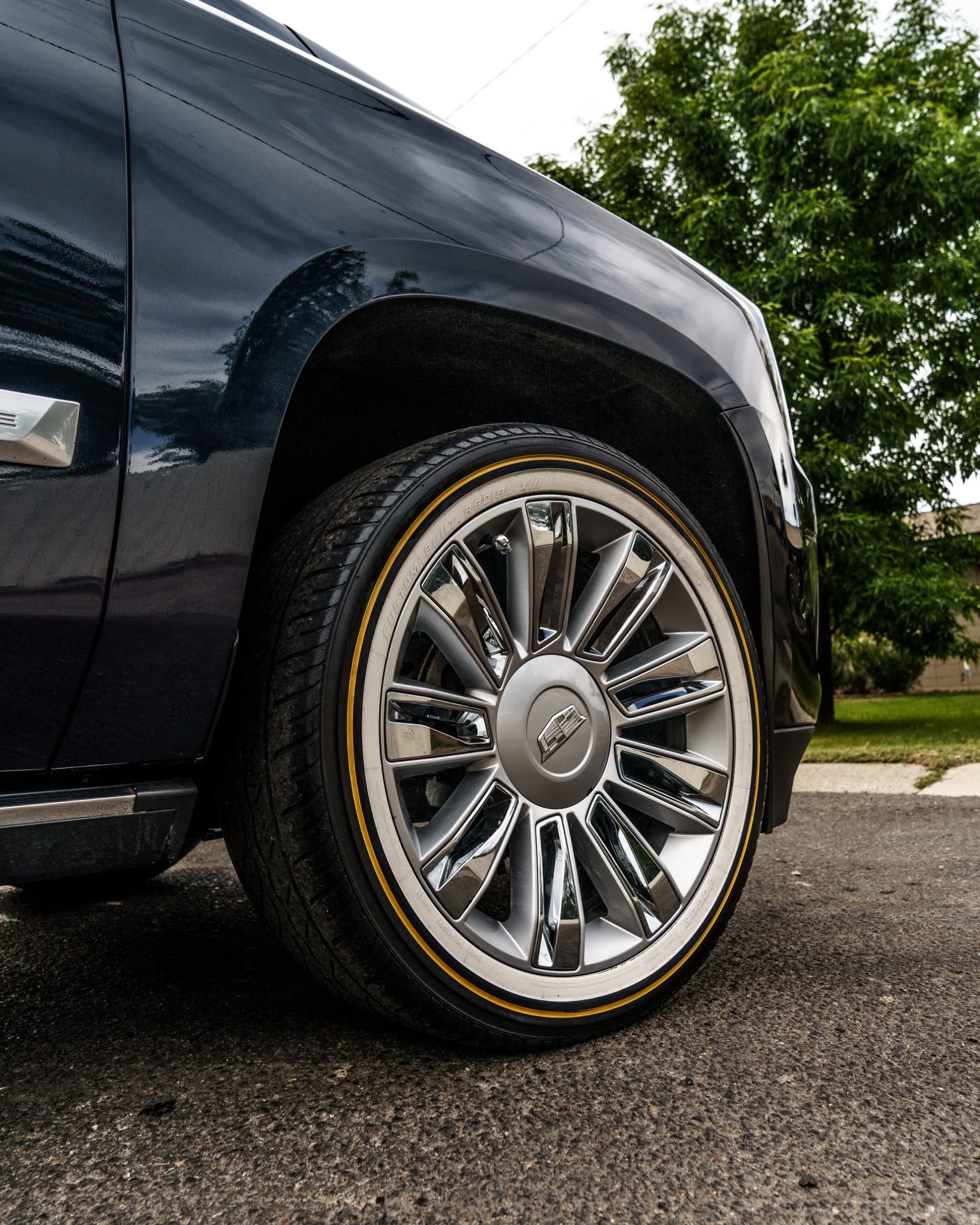 Blue cadillac membership detail